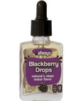 Allways Drops Natural Blueberry Water Enhancer | Sugar-Free, Zero Calories, Monk Fruit Sweetened | Glass Bottle for On-the-Go Hydration | Kids & Adults | 50 Servings