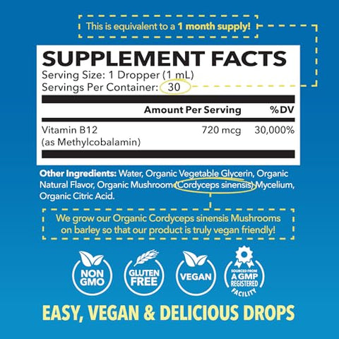 Havasu Nutrition Usda Organic Vitamin B12 Liquid Drops - Methylcobalamin For Enhanced Energy And Nervous System Support - 30 Servings - Highly Bioavailable For Absorption - Non-Gmo Vegan Strawberry Flavor 1 Fl Oz