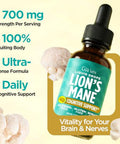 Gya Labs Lion'S Mane Extract Liquid Drops - Mushroom Supplement For Memory And Cognitive Clarity - Enhances Cognitive Function And Sharpness - Non-Gmo Sugar & Alcohol Free 1 Fl Oz