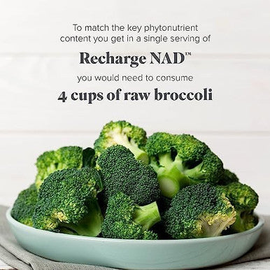 Isagenix Recharge NAD - Cellular Detox Comprehensive Healthy Aging and Energy Support - 1 Bottle - 60 ct Targeted Release Capsules