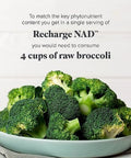 Isagenix Recharge Nad - Cellular Detox, Comprehensive Healthy Aging, And Energy Support - 1 Bottle - 60 Ct Targeted Release Capsules