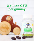 Garden of Life Probiotics For Kids Cherry Flavor Gummies - Sugar Free Once Daily Kids Probiotic Gummies 3 Billion Cfu Probiotics Plus Fiber For Digestive & Immune Health 30 Vegetarian Gummies
