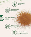 Micro Ingredients Organic Guarana Powder 1000Mg Per Serv 8 Ounces 220Mg Natural Caffeine Energizer Brazilian Herbal Extract Raw Bulk Superfood Coffee Substitute Vegan Friendly & Non-Gmo