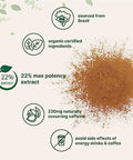 Micro Ingredients Organic Guarana Powder 1000Mg Per Serv 8 Ounces 220Mg Natural Caffeine Energizer Brazilian Herbal Extract Raw Bulk Superfood Coffee Substitute Vegan Friendly & Non-Gmo