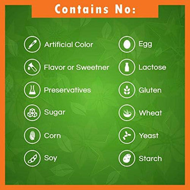 Best Naturals Vitamin B6 200Mg For Adults 120 Tablets (120 Count (Pack Of 2))