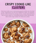 Purely Elizabeth Granola Ckie Oatml Raisn 11 OZ (Pack of 2)