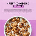 Purely Elizabeth Granola Ckie Oatml Raisn 11 OZ (Pack of 2)