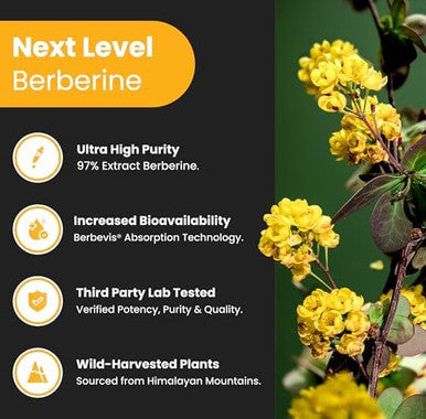 Nutrachamps Complete Metabolic & Circulatory Support : Berberine & Nitric Oxide Booster Duo