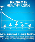 Nmnh (Dihydronicotinamide Mononucleotide), 500Mg Per Serving, Nad Supplement To Boost Nad+ Levels As We Age, Nad + Supplement For Anti Aging & Energy, 60 Capsules
