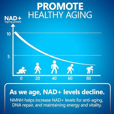 Nmnh (Dihydronicotinamide Mononucleotide), 500Mg Per Serving, Nad Supplement To Boost Nad+ Levels As We Age, Nad + Supplement For Anti Aging & Energy, 60 Capsules