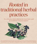Nature'S Way Black Elderberry Capsules Traditional Immune Support Supplement With Elderberry And Elderflower 1150 Mg Per 2-Capsule Serving Plant-Powered Vegan Capsules 100 Count