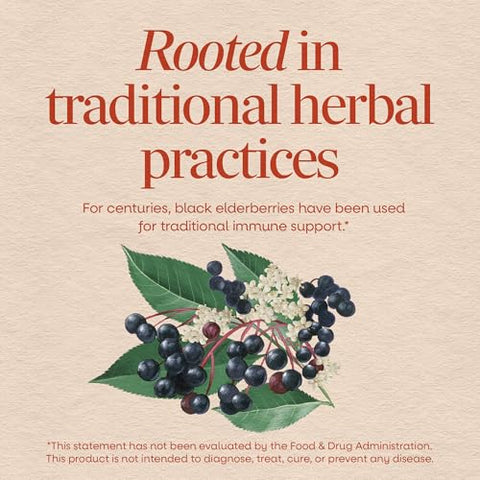 Nature'S Way Black Elderberry Capsules Traditional Immune Support Supplement With Elderberry And Elderflower 1150 Mg Per 2-Capsule Serving Plant-Powered Vegan Capsules 100 Count