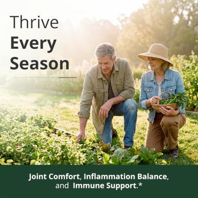 Vimerson Health Quercetin with Bromelain Turmeric Curcumin Supplement Triple Action Allergy Relief Inflammation and Joint Support with Organic Tumeric + Bioperine for Max Absorption