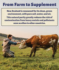 Holy Cow Health Colostrum Capsules Pure Undiluted + Highly Bioactive