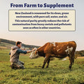 Holy Cow Health Colostrum Capsules Pure Undiluted + Highly Bioactive