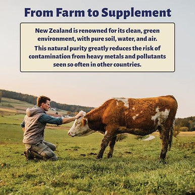 Holy Cow Health Colostrum Capsules Pure Undiluted + Highly Bioactive