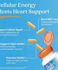Doctor'S Best Nmn Coq10 Supplement For Women & Men - Supports Nad Production & Cellular Energy Beta Nicotinamide Mononucleotide 150 Mg & Coenzyme Q10 50 Mg Per Capsule Vegan Non Gmo 60 Veg Caps
