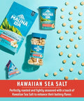 Mauna Loa Sea Salt Roasted Macadamia Nuts 6 oz Jar Premium Hawaiian Nuts Keto Friendly Gluten Healthy Snack