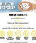 Ambrosia Flora Digestive Enzymes With Probiotics And Prebiotics Plant Based Gut Health Supplement 32 Billion Cfu Vegan Probiotic For Digestive Health (30 Servings)