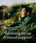 Chapter Perfect Calm - Daily Multivitamin For Stress & Mood Support With B Vitamins + Holy Basil + Lemon Balm + Organic Non-Gmo Ingredients - 144 Count