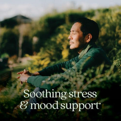 Chapter Perfect Calm - Daily Multivitamin For Stress & Mood Support With B Vitamins + Holy Basil + Lemon Balm + Organic Non-Gmo Ingredients - 144 Count