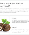 Sunergetic Premium Candida Cleanse Supplement " Candida Support Supplement With Oregano Caprylic Acid Black Walnut & Probiotics " Supports Gut Health Digestion & Intestinal Flora 60 Candi Support Capsules