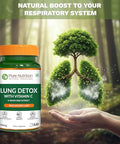 Pure Nutrition Lung Health Supplement 60 Caps Herbal Lung Support Formula With Quercetin Vitamin C Nettle Vasaka Leaf Lotus Licorice & Ginger