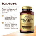 Solgar Resveratrol 500 Mg 30 Vegetable Capsules - Antioxidant Protection - Gluten Free Dairy Free 30 Servings