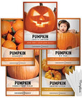 Gardeners Basics, Pumpkin Seeds to Plant - 5 Variety Baby Boo, Giant Big Max, Jack Be Little, Jack O Lantern, Sugar Pie, Great for Pumpkin Seed for Summer, Fall, Pumpkin Seeds for Planting