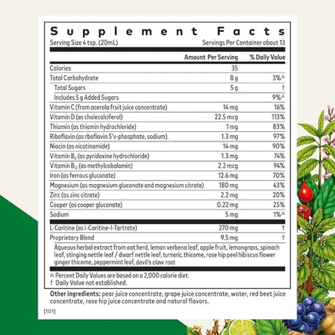 Floradix Iron Sport Liquid Mineral & Vitamin Formula - Daily Nutrition & Energy Support - Sports Nutrition With Iron B Vitamins & More - Vegan & Non-Gmo 8.5 Fl Oz