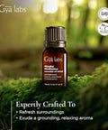 Gya Labs Mindful Meditation Essential Oil Blend - 100 Pure Natural Undiluted Meditation Essential Oil - Grounding & Relaxing (0.34 Fl Oz)