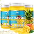 Bio Vitalica Sea Moss Gel By Biovitalica Irish Sea Moss Raw Organic Premium Quality Dr Sebi Vegan Superfood For Cells 100% Natural Seamoss Gel (Pack Of 1 Original)
