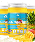 Sea Moss Gel by BioVitalica Irish sea Moss raw Organic Premium Quality Dr Sebi Vegan superfood for Cells 100% Natural Seamoss Gel (Pack of 1 Original)