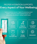 Diagnox Health Protein Urine Test Strips [30 Tests] And Hydration Test Strips [30 Tests] Individually Packaged And Science Backed