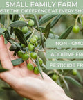 NÃƒâ€šÃ‚Â°1 Drinking Extra Virgin Olive Oil - Italian Olive Oil from Italy 2025 Gold Awards Winner - 514 mg/kg High in Polyphenols evoo - 100% Unrefined and Cold pressed evoo for Drinking and Finishing Use