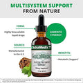 Nutramedix Glucomedix Bioavailable Cat'S Claw & Stevia Liquid Drops Metabolic Support To Help Maintain A Healthy Immune System Daily Immune Support Tincture (4 Fl Oz)