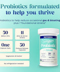 Enzymedica Subculture Probiotics For Gas & Bloating 50 Billion Cfu Supports Immune & Digestive Health Regularity & Gut Flora 30 Count