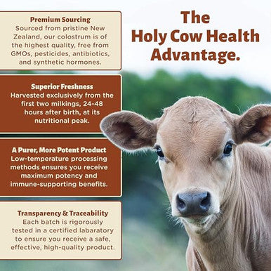 Holy Cow Health Colostrum Capsules Pure Undiluted + Highly Bioactive