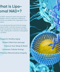 Liposomal Nad Supplement, Highest Nad+ Potency For Anti-Aging, Energy, Focus - 4 Pack
