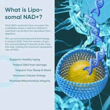 Liposomal Nad Supplement, Highest Nad+ Potency For Anti-Aging, Energy, Focus - 2 Pack