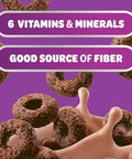 Kellogg's Frosted Mini-Wheats Cold Breakfast Cereal, High-Fiber, Whole Grain, Family Size, Original, 24oz Box (1 Box)