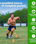 Orgain 38G High Protein Shake Dairy Isolate Protein Milk Vanilla 6G Bcaas 1G Sugar Per Serving Meal Ready To Drink Keto Friendly Gluten 14 Fl Oz (Pack Of 12)