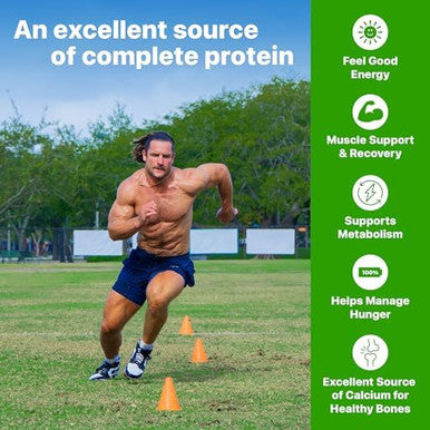 Orgain 38G High Protein Shake Dairy Isolate Protein Milk Vanilla 6G Bcaas 1G Sugar Per Serving Meal Ready To Drink Keto Friendly Gluten 14 Fl Oz (Pack Of 12)