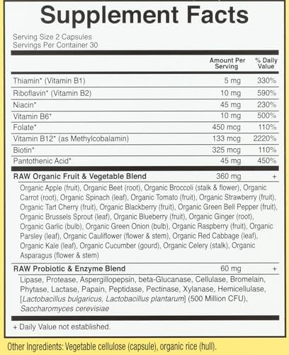 Garden Of Life Vitamin Code Raw Vitamin B Complex Vegetarian Capsules 60 Ct