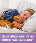 Garden Of Life Organics Elderberry Immune Support For Kids With Zinc Vitamin C - Kids Elderberry & Sleep Immune Syrup Liquid Bedtime Herbs For Children No Alcohol No Added Sugar 3.92 Fl Oz