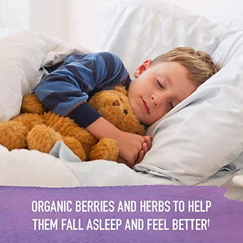 Garden Of Life Organics Elderberry Immune Support For Kids With Zinc Vitamin C - Kids Elderberry & Sleep Immune Syrup Liquid Bedtime Herbs For Children No Alcohol No Added Sugar 3.92 Fl Oz