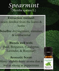 Spearmint 4 fl oz (118 ml) Glass Bottle w/Cap 100% Pure Essential Oil GreenHealth