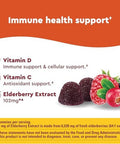 Nature Made Wellblends Immune & Superfood, Elderberry Gummies With Acerola Cherry Extract, Plus Vitamin C + Vitamin D, Immune Support Supplement, 100 Gummy Vitamins