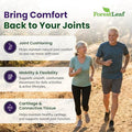 Forestleaf Glucosamine Chondroitin Msm Joint Supplement Complex - 1200Mg 120 Caps