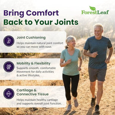 Forestleaf Glucosamine Chondroitin Msm Joint Supplement Complex - 1200Mg 120 Caps